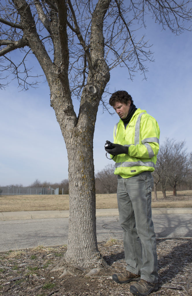 Parks and Recreation kicks off yearslong process of removing